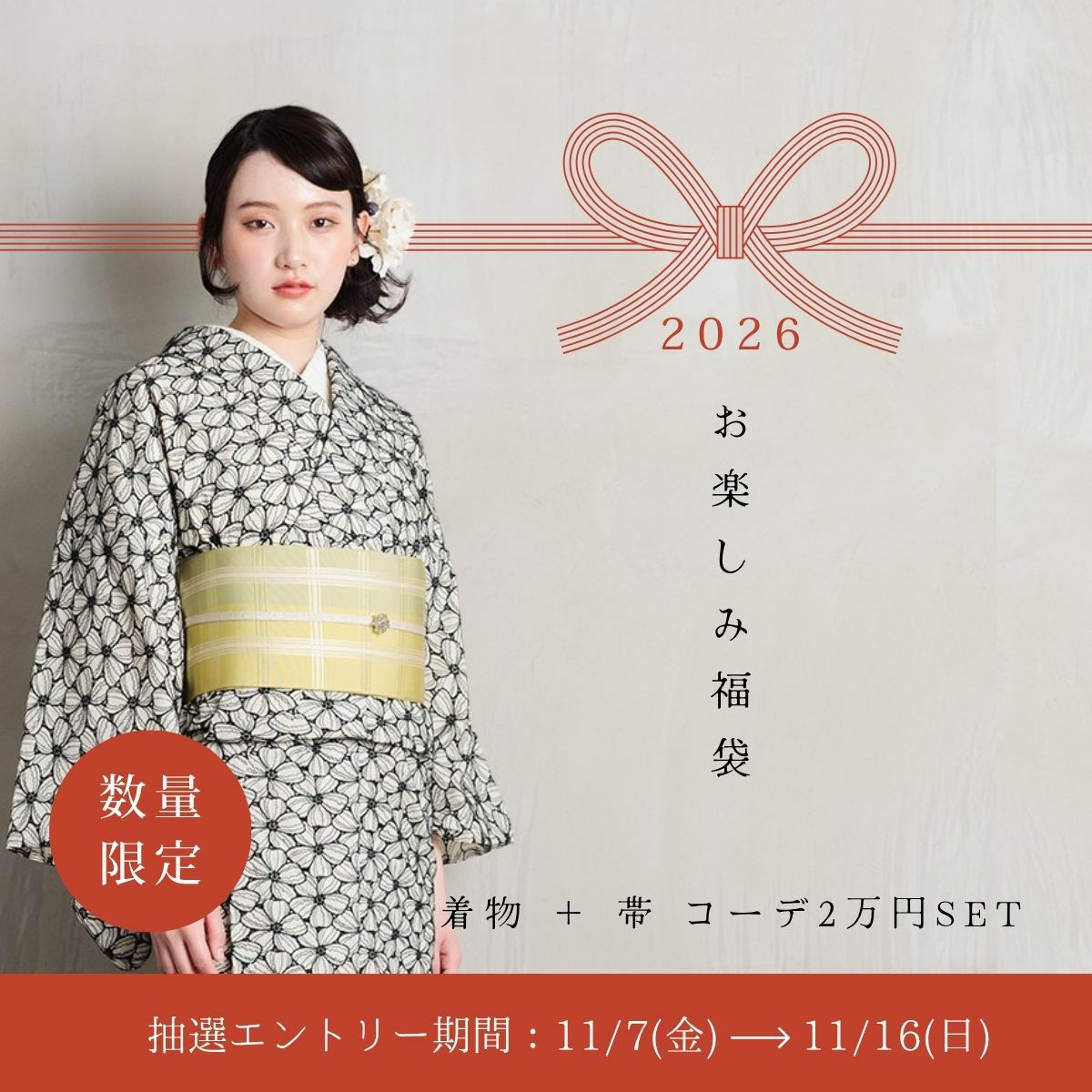 2026年-お楽しみ福袋2万円セット | 着物や浴衣なら和モダン着物・帯を